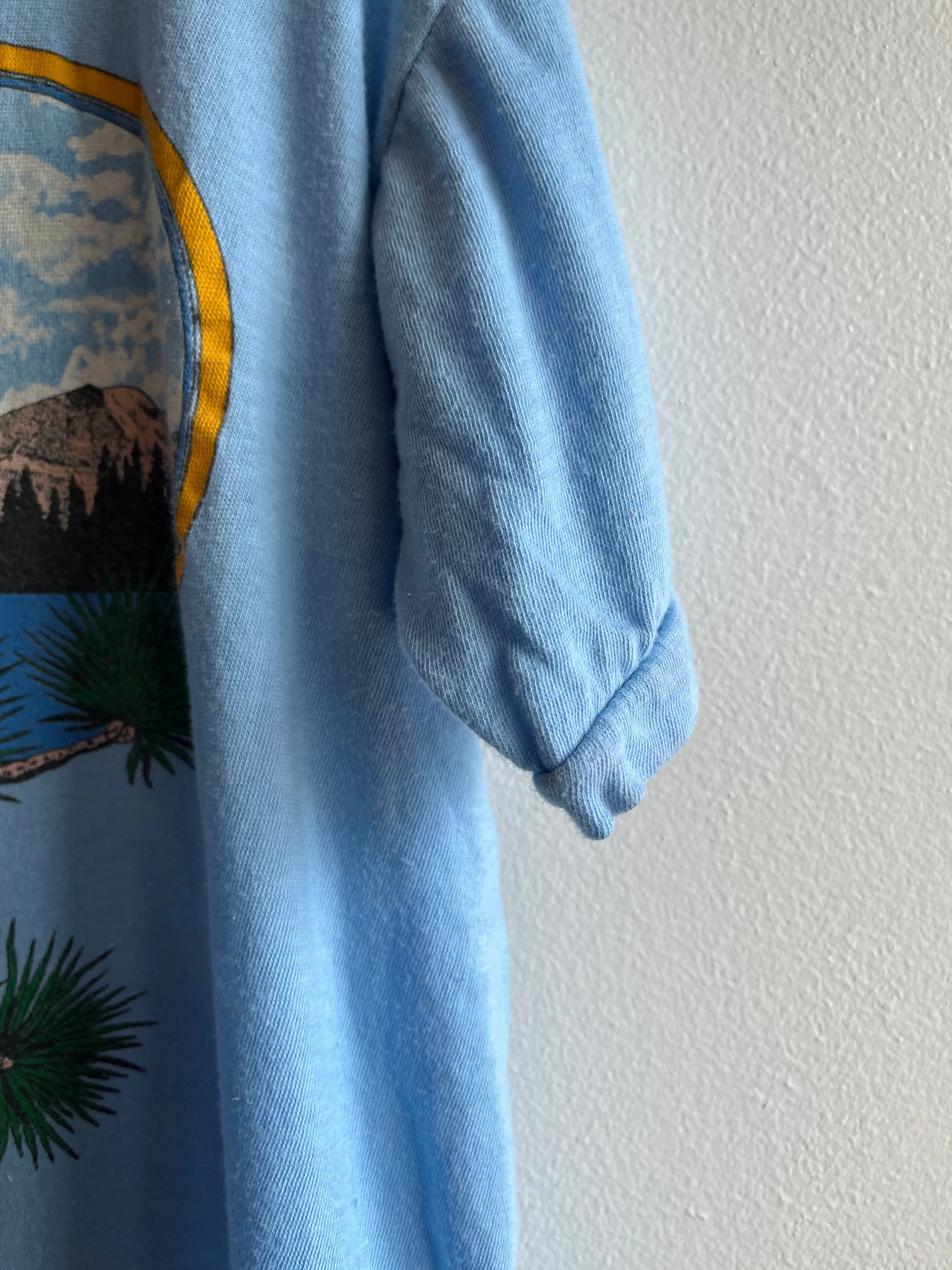 Vintage 1970/80s Black Hills T-Shirt