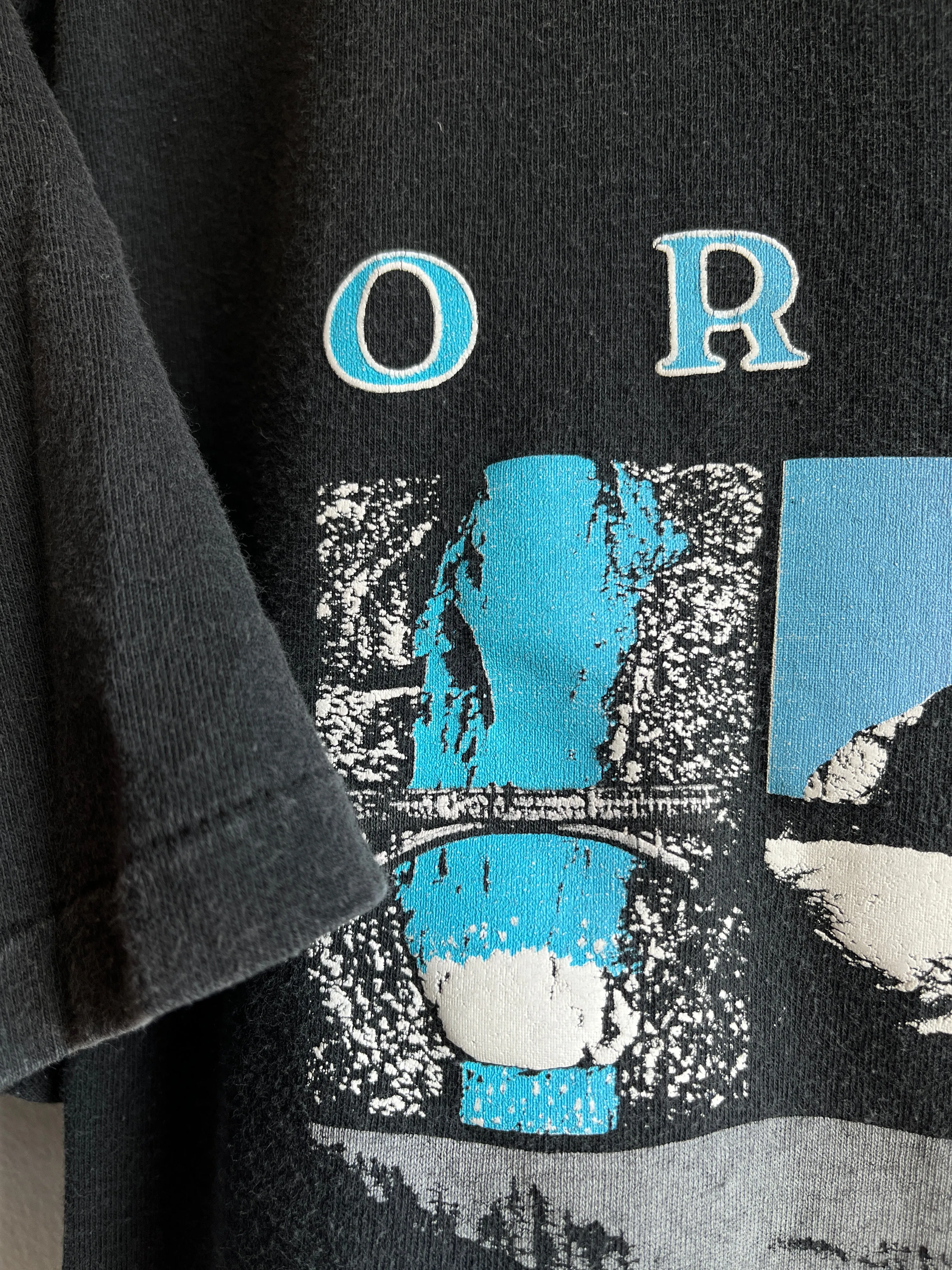 Vintage 1990s Oregon T-Shirt